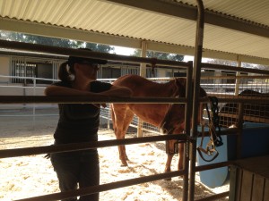 Kaitlin hangs out with Cricket in her new stall.