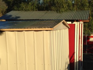 The back of the shed with the new roof.