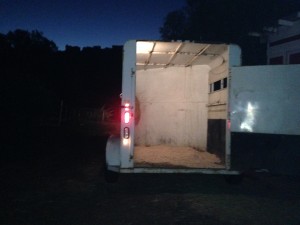 6am trailer loading.