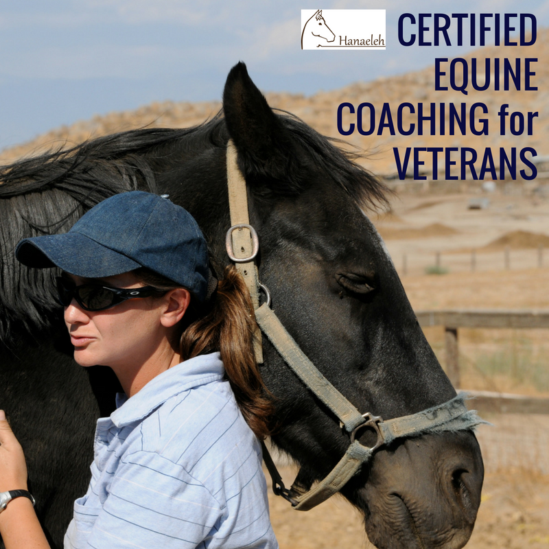 equine-coaching-for-veterans