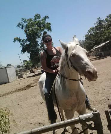 Inland Empire, CA: Grey Horse Needs Home | Hanaeleh Horse ...