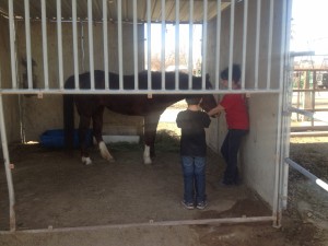 Lexie, Jeff and his mom checking out her new stall