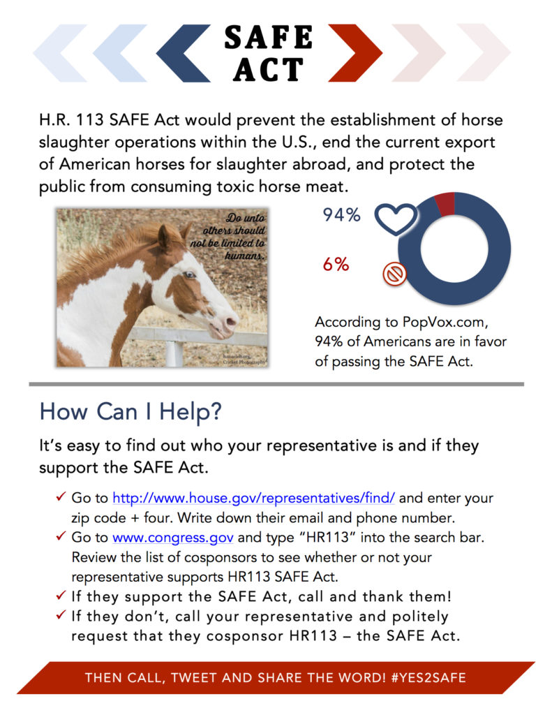 SAFE Act End Horse Slaughter