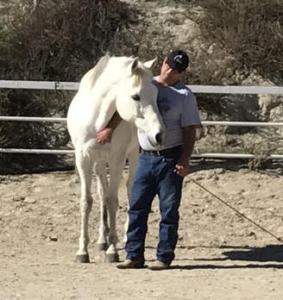veterans equine assisted coaching orange county ca