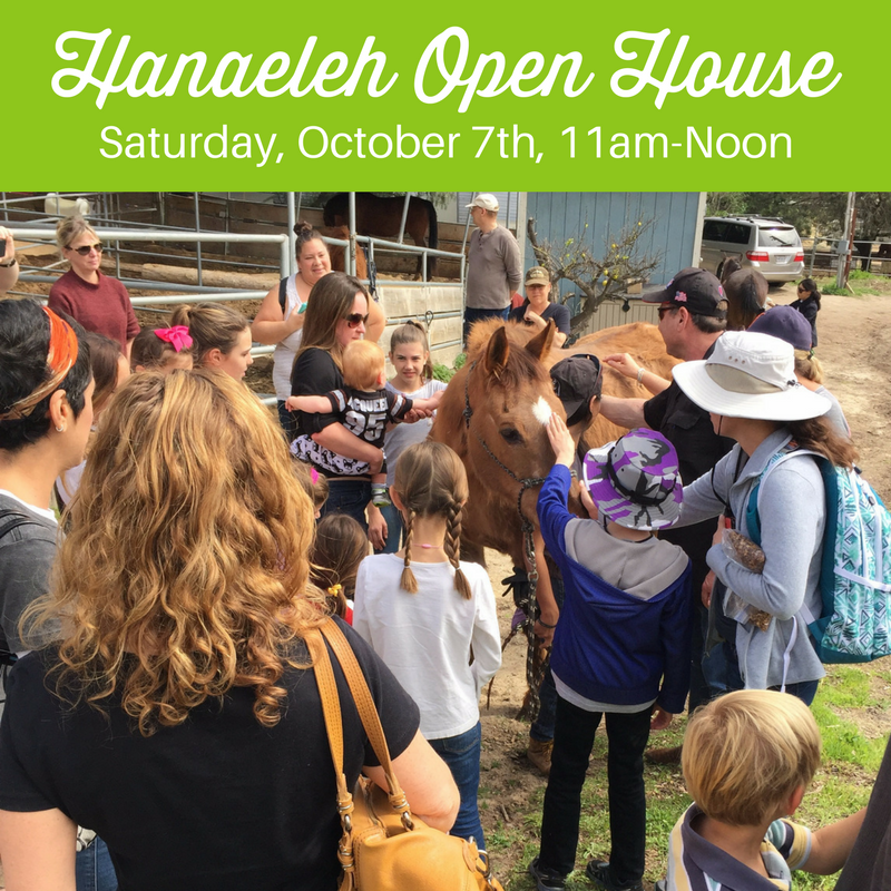 Hanaeleh Open House-October 2017-1