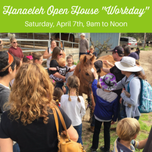 hanaeleh-horse-rescue-open-house-april-2018-1