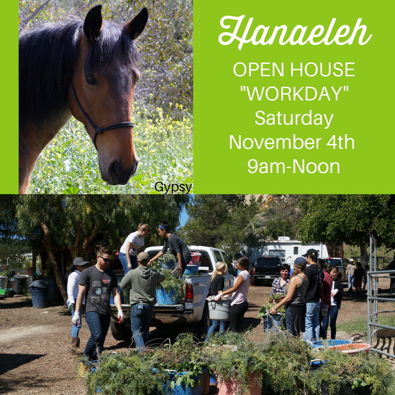 Hanaeleh Open House-Workday-November 2017