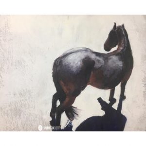 Gypsy-Hanaeleh Horses for Charity-2
