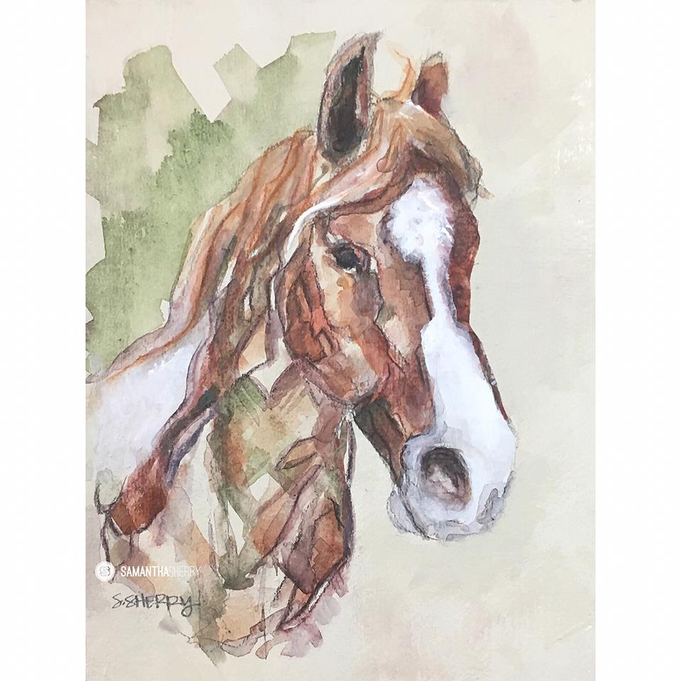 Rio-Hanaeleh Horses for Charity-4