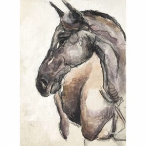 Tamahome Hanaeleh Horses for Charity-4
