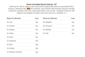 rules-committee-refuses-bipartisan-amendment-stop-killing-wild-horses-burros-1