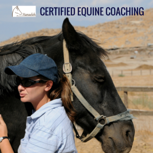 Hanaeleh Certified Equine Coaching