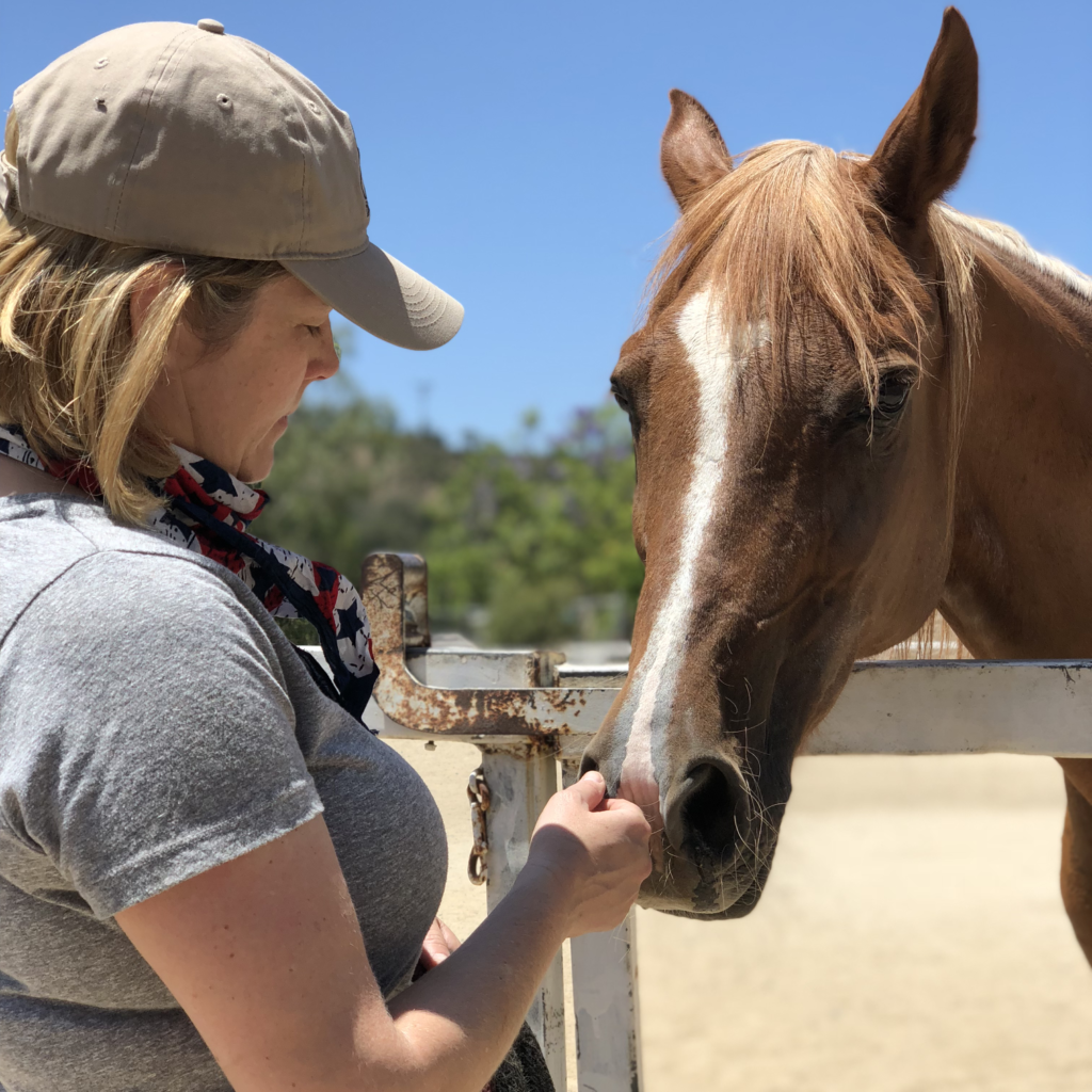 horse rescue orange county prohorse