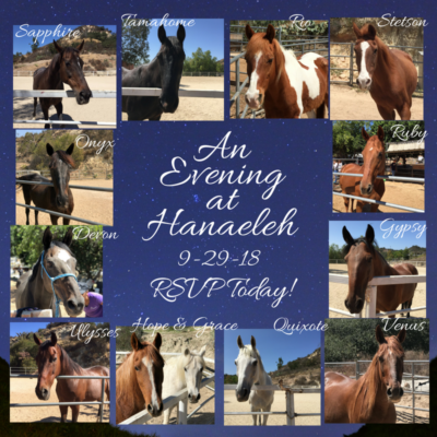 evening-at-hanaeleh-horse-rescue-2018