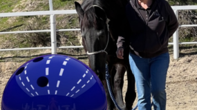 Black horse pushing a picture of a bowling ball